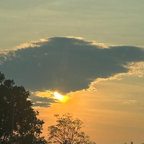 Meet your Posher, Mimi - Picture 6 of 6